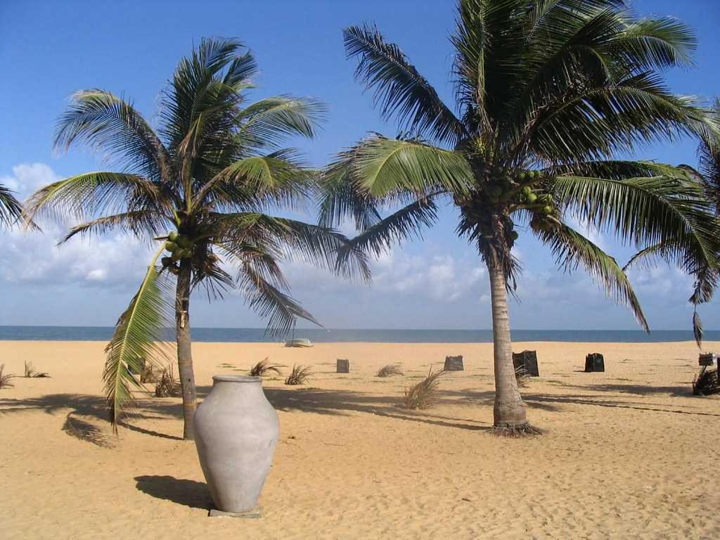 Aloe Vera Villa Negombo Exterior photo